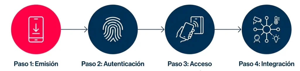 Implementación en 4 pasos